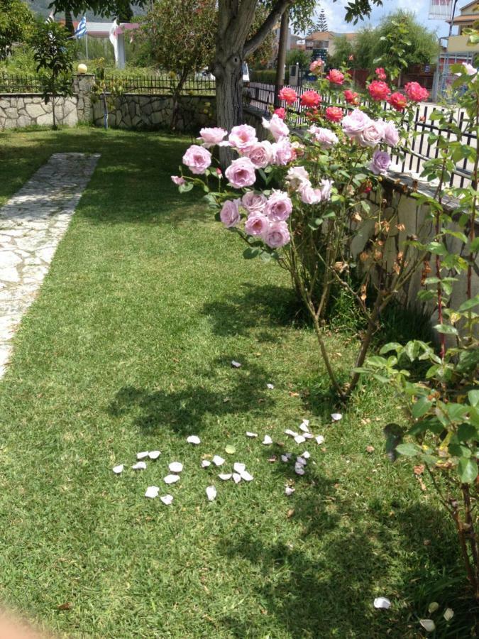 Dimitra Studios Nidri Dış mekan fotoğraf